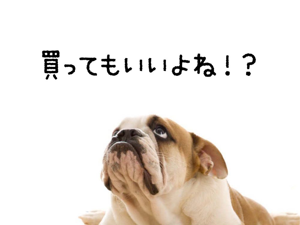 買ってもいいよね！？